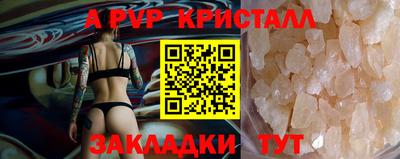 мдпв Камышлов