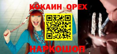 мдпв Камышлов
