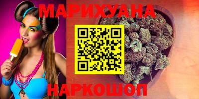 мдпв Камышлов