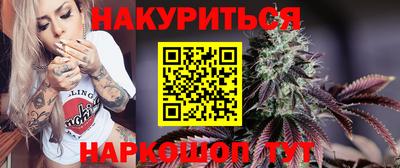 мдпв Камышлов