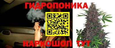 PSILOCYBIN Кандалакша