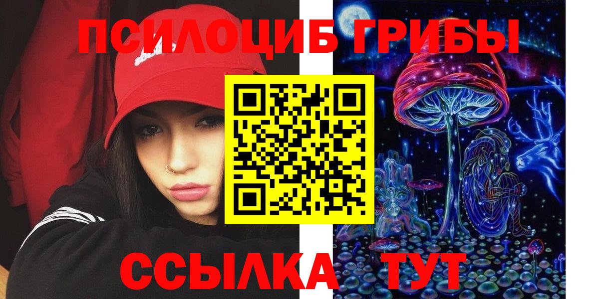 Краснознаменск  как найти закладки  Вход с VPN  Псилоцибиновые грибы Psilocybine cubensis 